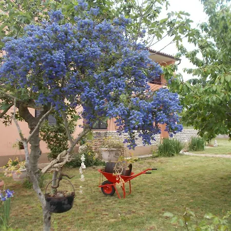 Apartment Ella Pula