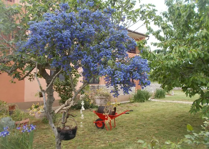 Appartamento Ella Pola