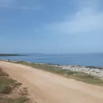 Ella * Pola
